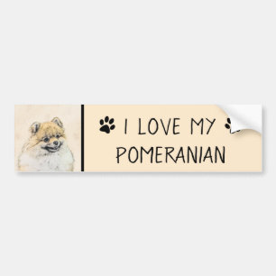 Pomeranian (Orange) Painting - Original Dog Art Bumper Sticker