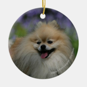 Pomeranian Panting Ceramic Ornament