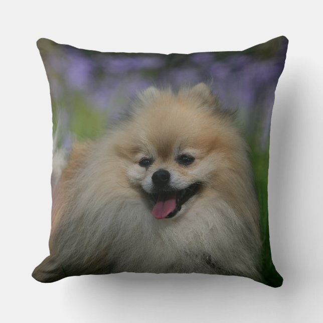 Pomeranian Panting Cushion (Front)
