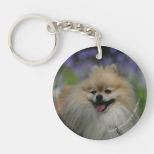 Pomeranian Panting Key Ring