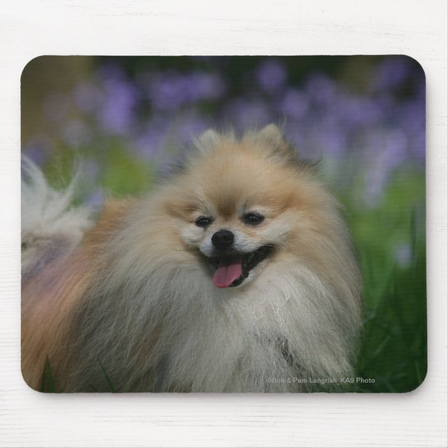 Pomeranian Panting Mouse Pad (Front)