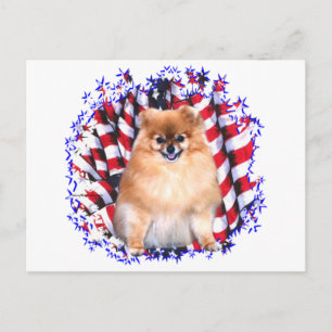 Pomeranian Patriot Postcard