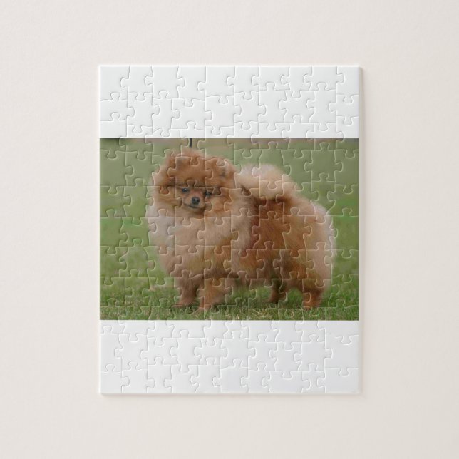 Pomeranian Perfection, Jigsaw Puzzle (Vertical)