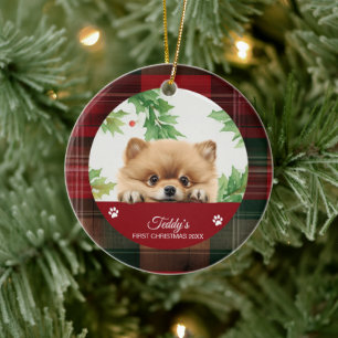 Pomeranian Personalised First Christmas Ceramic Ornament