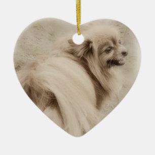 Pomeranian Photo - Dreamy Pom Ceramic Ornament