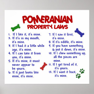 POMERANIAN PL2 POSTER
