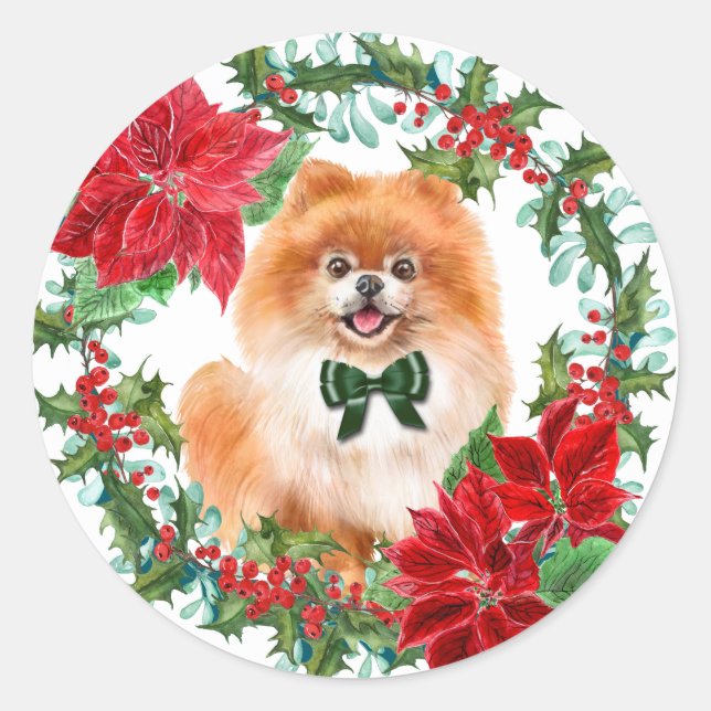 Pomeranian Poinsettia Holly Holiday Wreath Classic Round Sticker (Front)