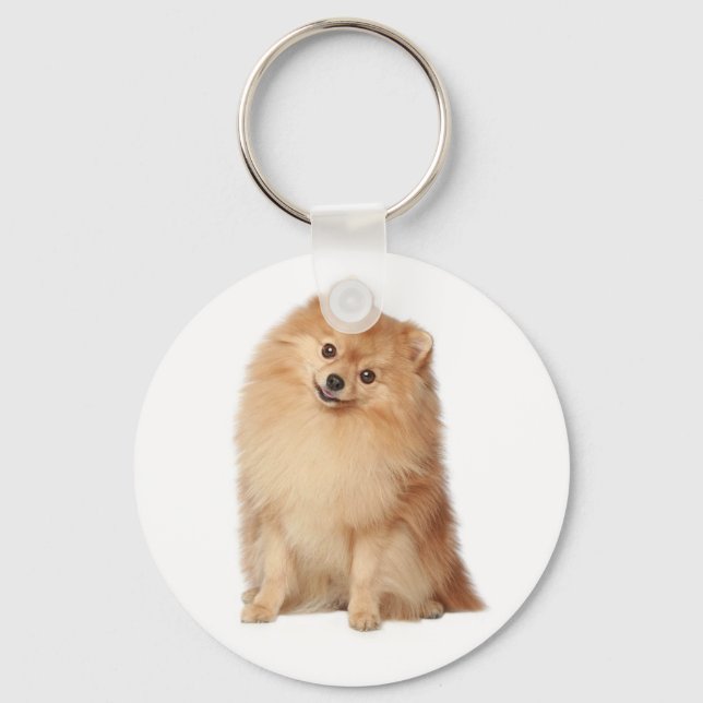 Pomeranian Pom Pom Puppy Dog Keychain (Front)