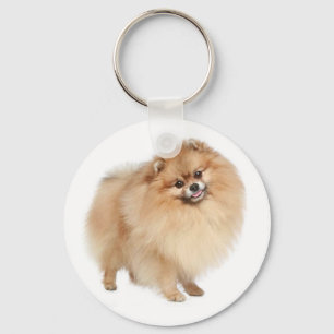 Pomeranian Pom Pom Puppy Dog Keychain