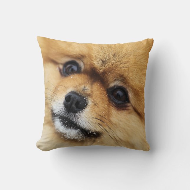 Pomeranian Portrait Cushion (Front)