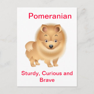 Pomeranian Postcard