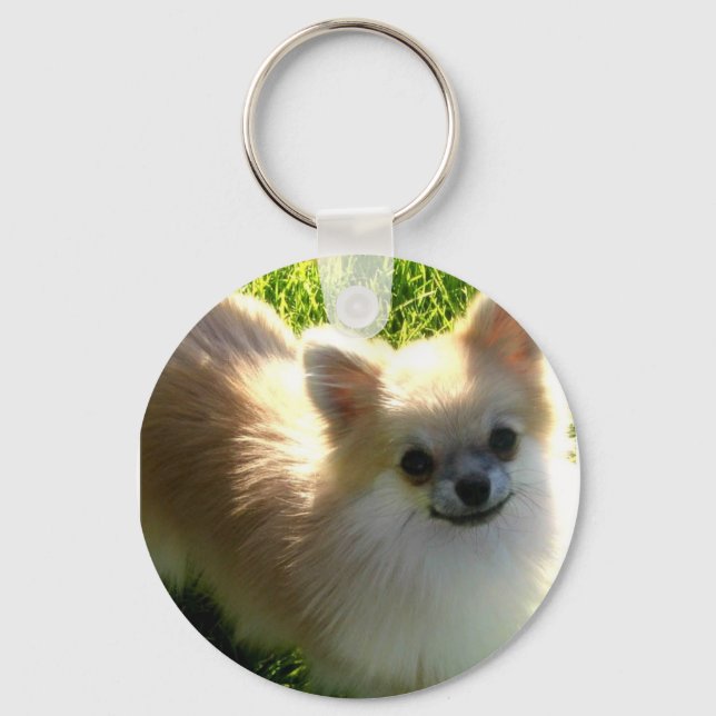 Pomeranian Puppies Keychain (Front)