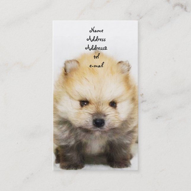 Pomeranian puppy business card (Front)
