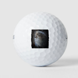 Pomeranian Puppy Golf Balls