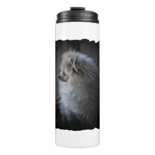 Pomeranian Puppy Thermal Tumbler