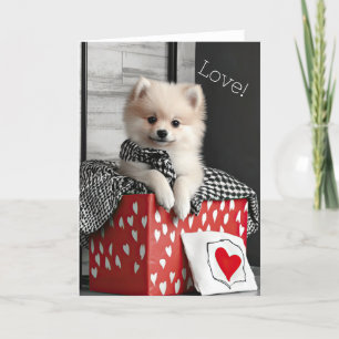Pomeranian Puppy Valentine Card