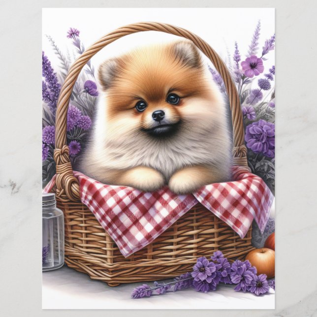 Pomeranian Puppy Watercolor Floral Scrapbook Paper (Front)