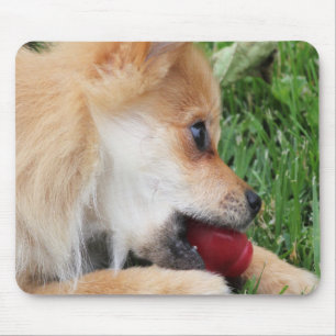  Pomeranian Puppy with Ball Mouse Pad