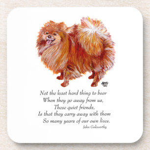 Pomeranian Rainbow Bridge Coaster