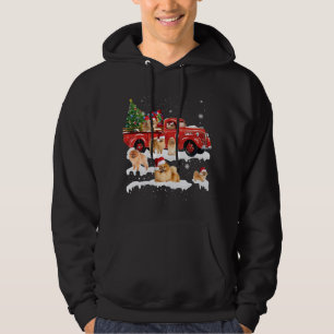 Pomeranian Riding Red Truck Merry Christmas X-mas Hoodie