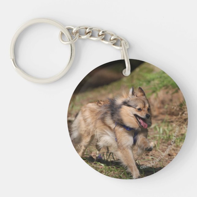 Pomeranian Running with Harness on Key Ring (Front)