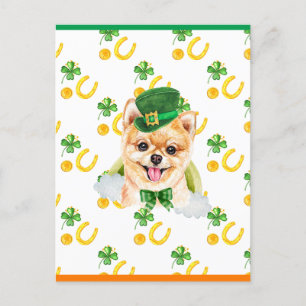 Pomeranian Shamrock St. Patricks Day Holiday Postcard