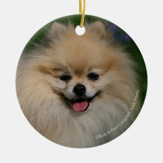 Pomeranian Smiling Ceramic Tree Decoration (Front)