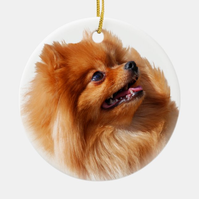 Pomeranian Spitz Ceramic Tree Decoration (Front)
