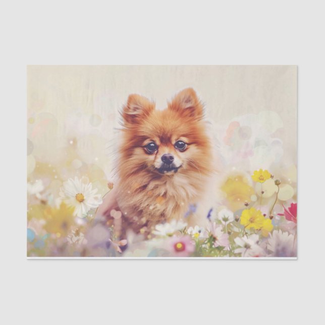 Pomeranian Spring Wildflowers Decoupage Tissue Paper (Front)