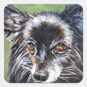 Pomeranian Square Sticker