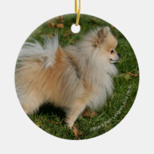 Pomeranian Standing Ceramic Tree Decoration