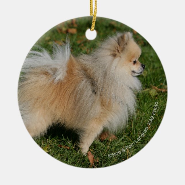 Pomeranian Standing Ceramic Tree Decoration (Front)