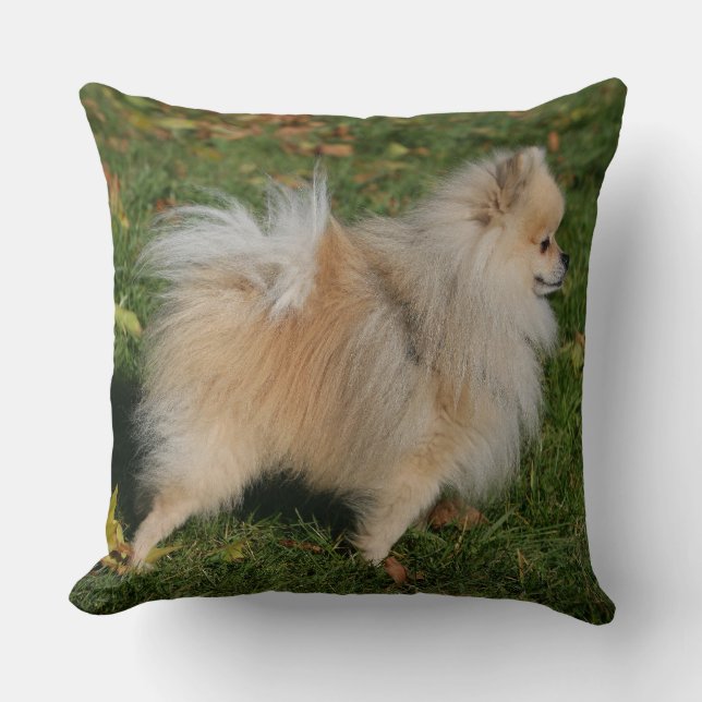Pomeranian Standing Cushion (Front)