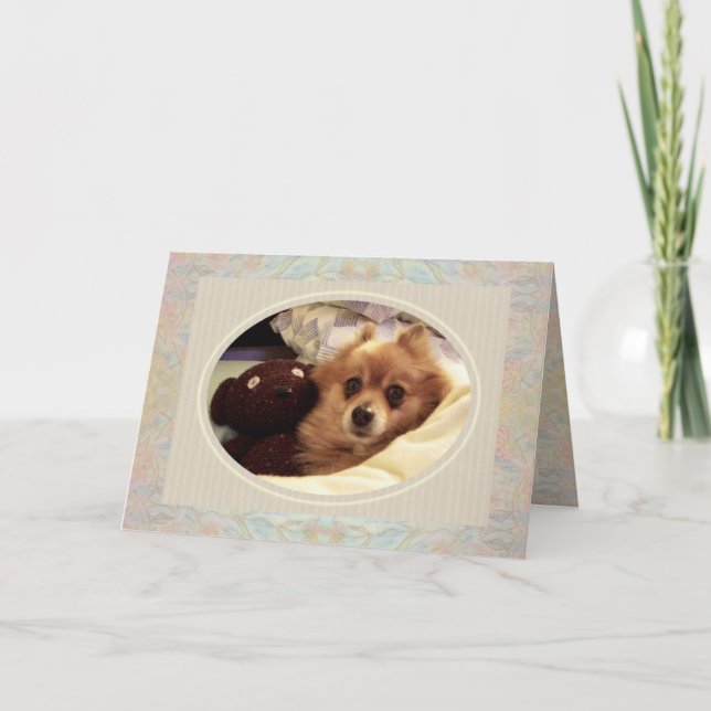 Pomeranian & Teddy bear Get Well Card (Front)