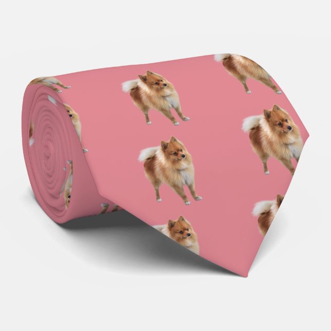 Pomeranian Tie (Rolled)