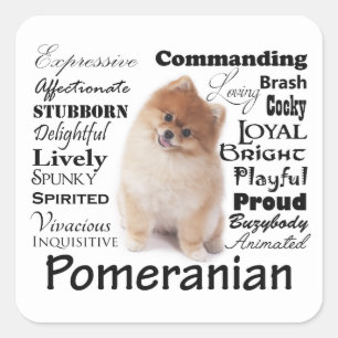 Pomeranian Traits Stickers