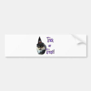 Pomeranian Trick Bumper Sticker