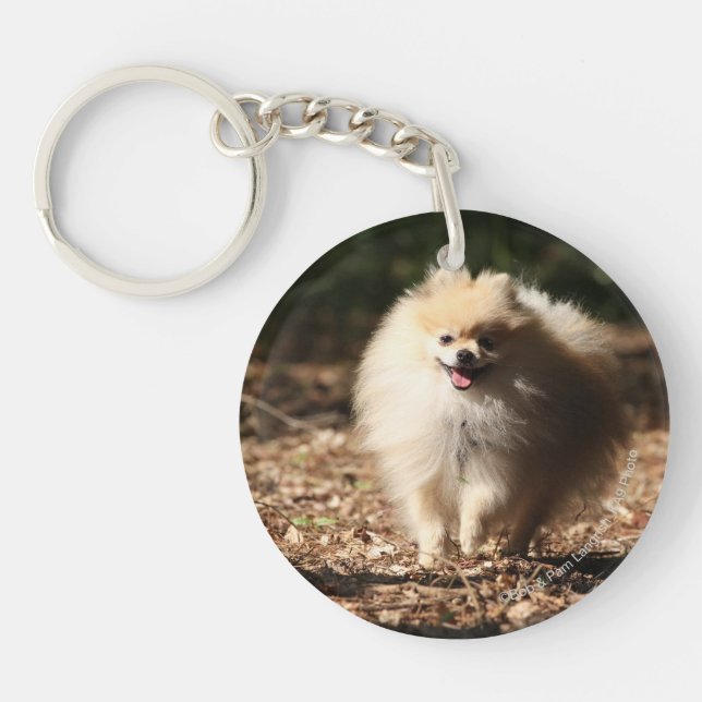Pomeranian Trotting in the Fallen Leaves Key Ring (Front)