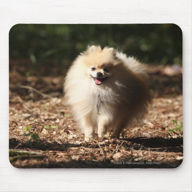 Pomeranian Trotting in the Fallen Leaves Mouse Pad (Front)