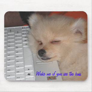 Pomeranian Wake me if you see the boss Mouse Pad