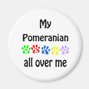 Pomeranian Walks Design Magnet