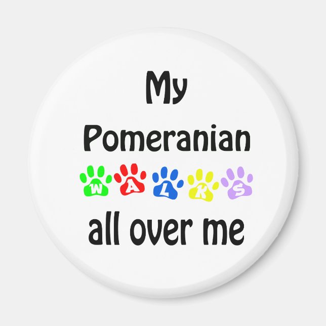 Pomeranian Walks Design Magnet (Front)