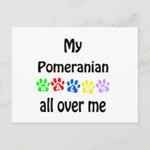 Pomeranian Walks Design Postcard