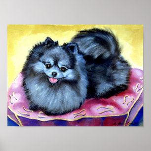 Pomeranian Wall Print Poster