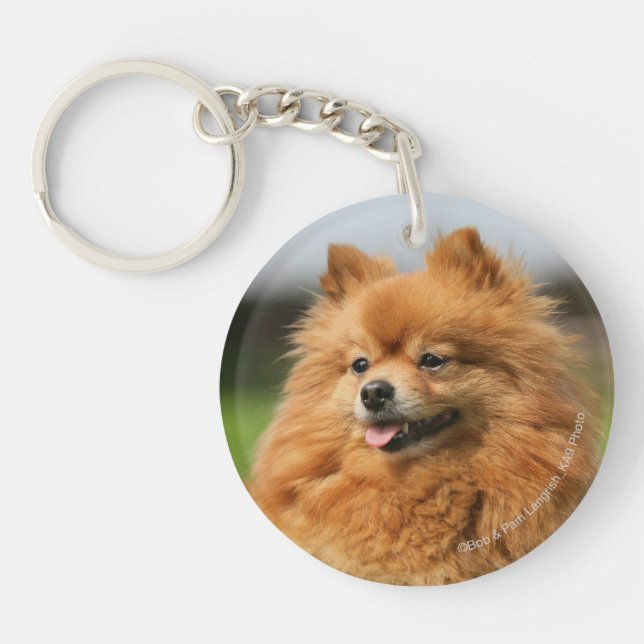 Pomeranian Watching Key Ring (Front)