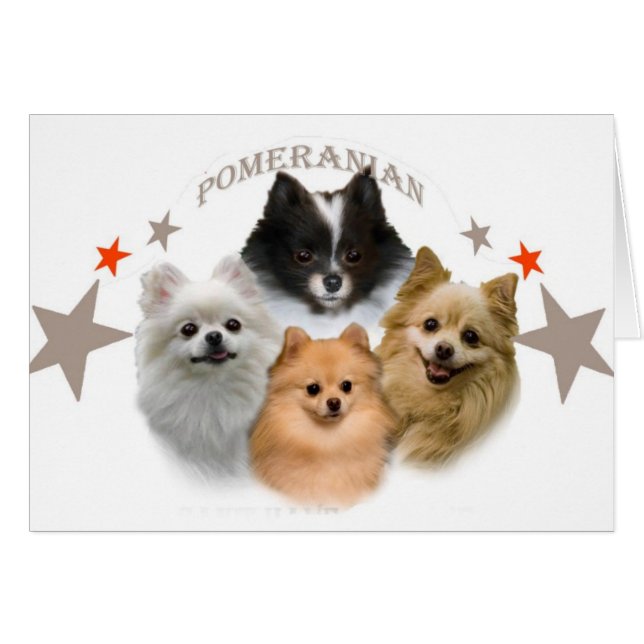 Pomeraniani Can't Have Just One  Cards (Front Horizontal)