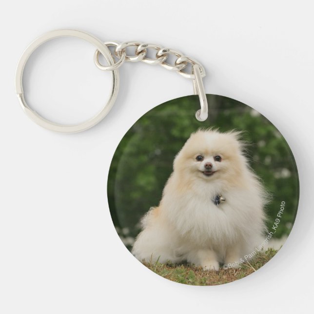 Pomeraning Sitting Key Ring (Front)