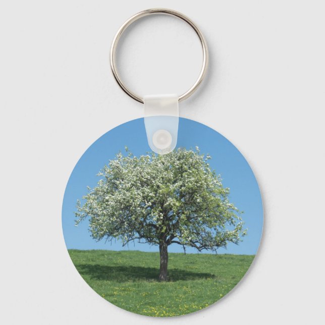 pommier key ring (Front)