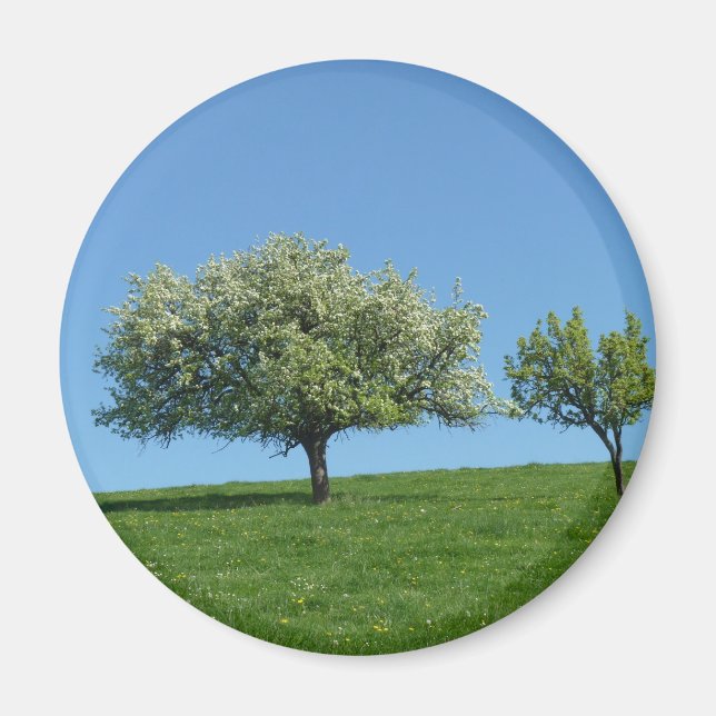 pommiers magnet (Front)