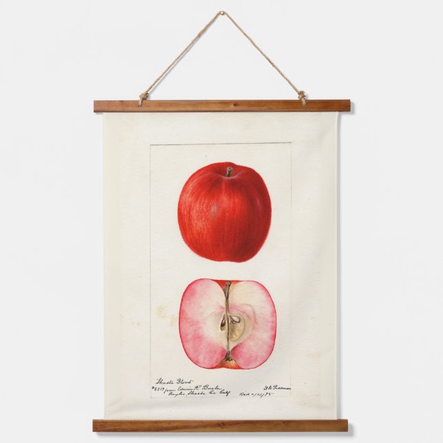 Pomological Water Colour Shasta Variety Hanging Tapestry (Front)